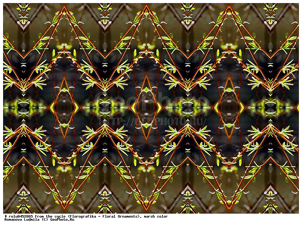 ���������, ������������������, ���������, ���������, ����, ������������, �����, ��������, ��������