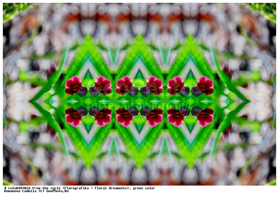 ���������, ������������������, ���������, ���������, ����, ������������, �����, ��������, �������