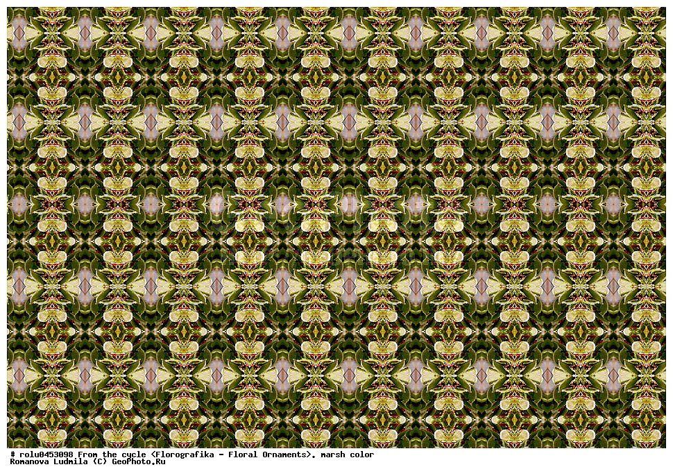 ���������, ������������������, ���������, ���������, ����, ������������, �����, ��������, ��������