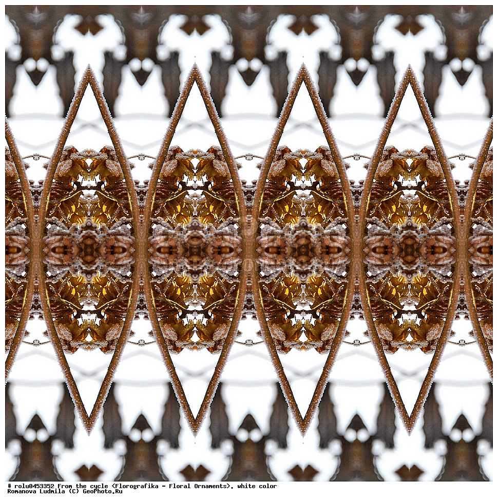 ���������, ������������������, ���������, ���������, ����, ������������, �����, ��������, �����