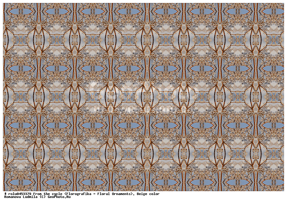 ���������, ������������������, ���������, ���������, ����, ������������, �����, ��������, �������