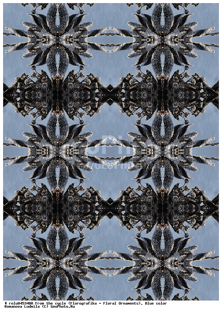 ���������, ������������������, ���������, ���������, ����, ������������, �����, ��������, �����