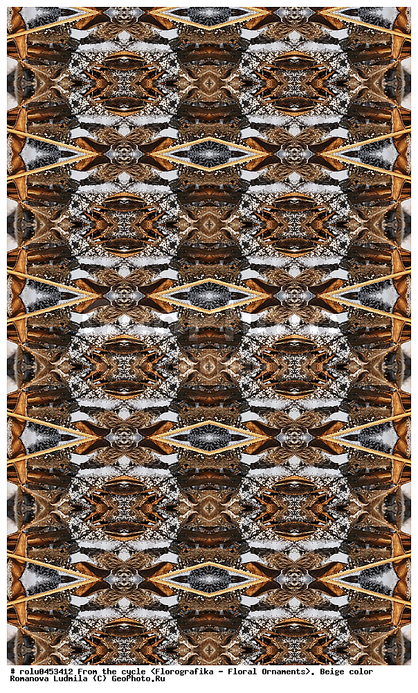 ���������, ������������������, ���������, ���������, ����, ������������, �����, ��������, �������