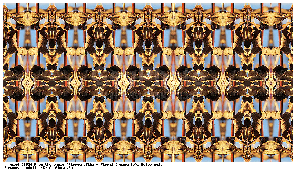 ���������, ������������������, ���������, ���������, ����, ������������, �����, ��������, �������