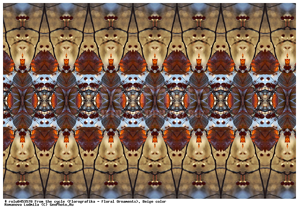 ���������, ������������������, ���������, ���������, ����, ������������, �����, ��������, �������