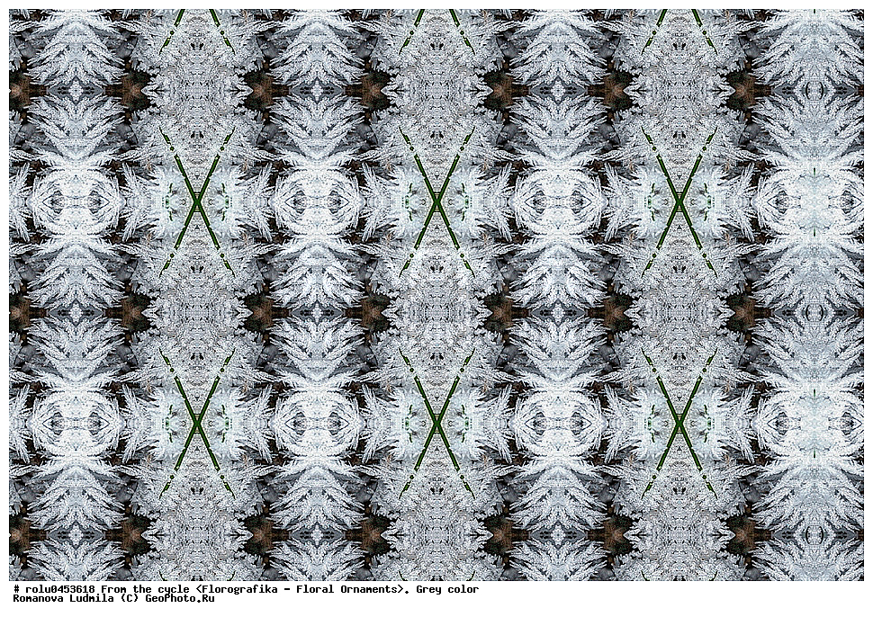 ���������, ������������������, ���������, ���������, ����, ������������, �����, ��������, �����