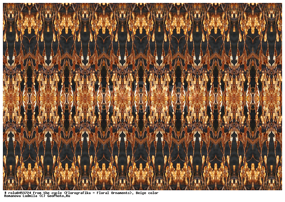 ���������, ������������������, ���������, ���������, ����, ������������, �����, ��������, �������