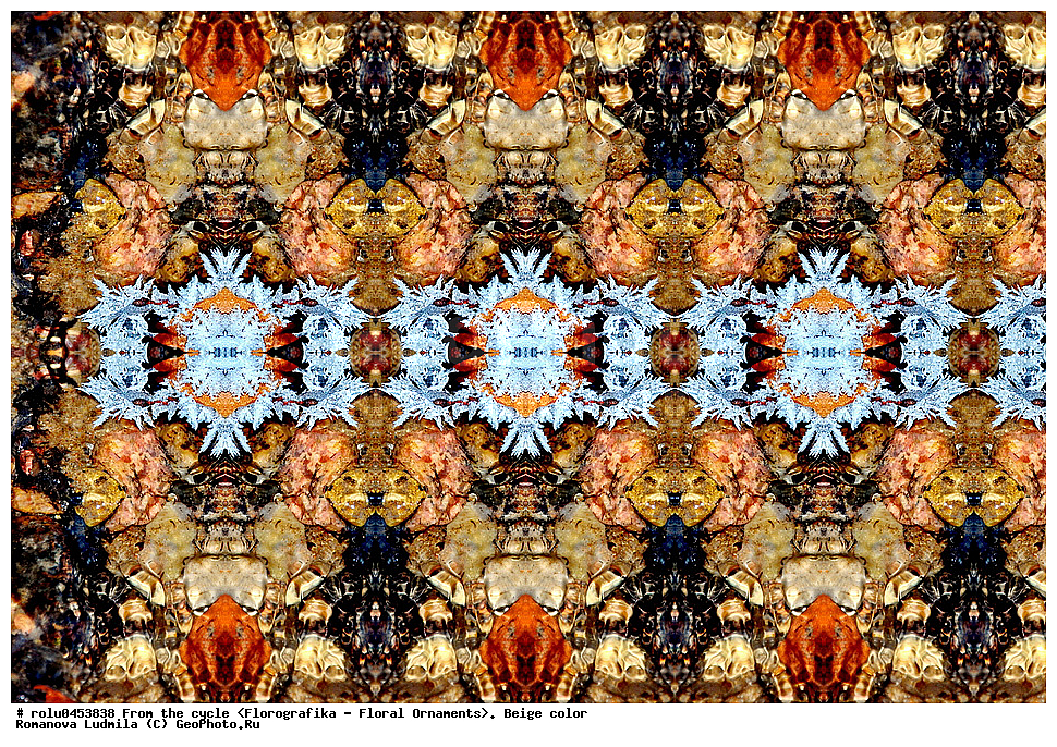 ���������, ������������������, ���������, ���������, ����, ������������, �����, ��������, �������