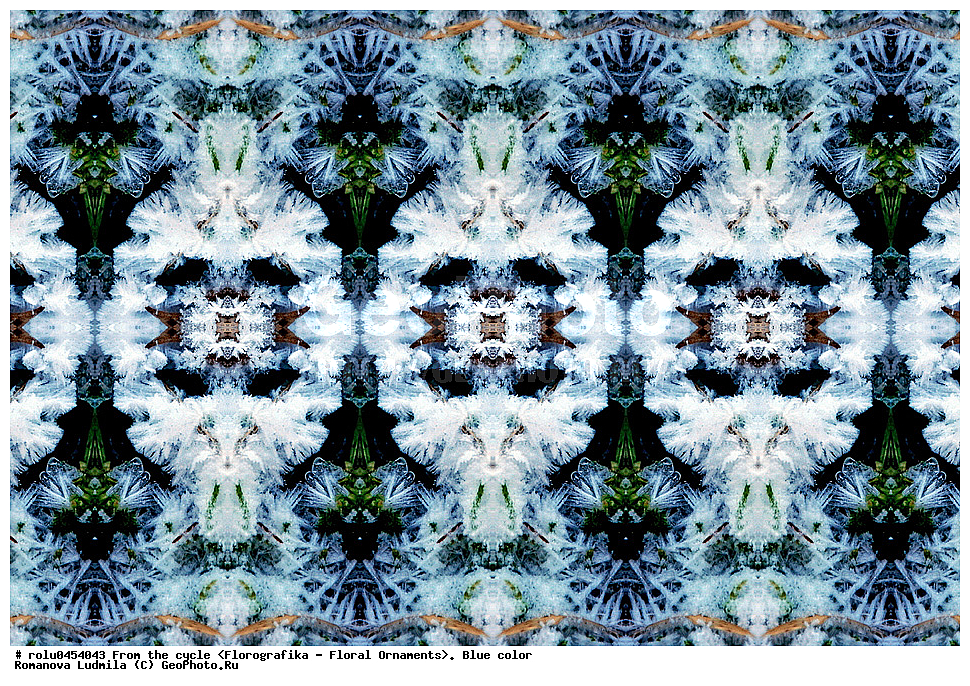 ���������, ������������������, ���������, ���������, ����, ������������, �����, ��������, �����