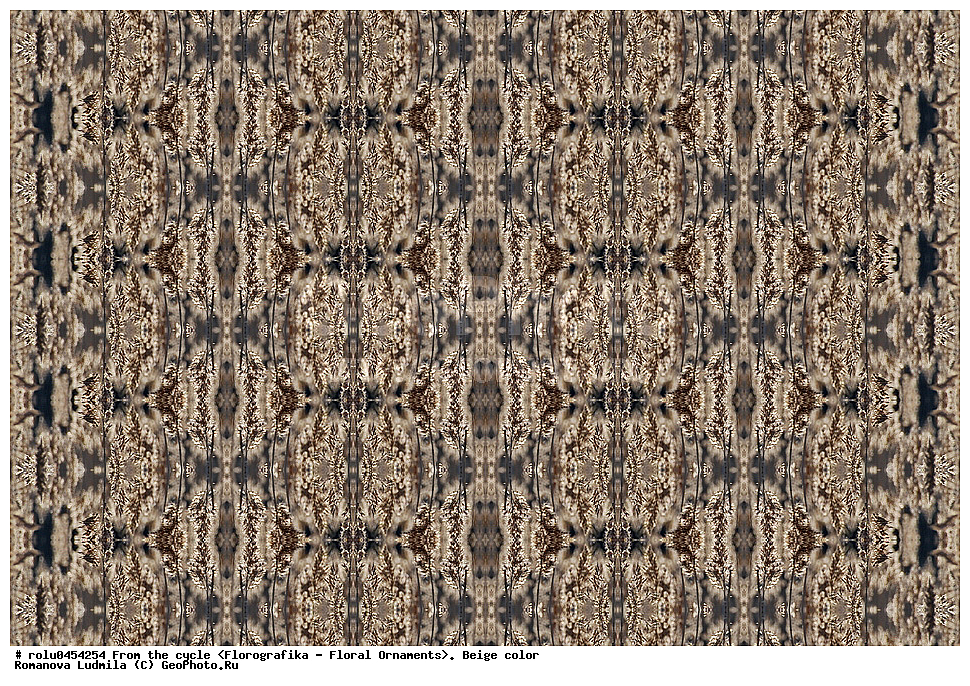 ���������, ������������������, ���������, ���������, ����, ������������, �����, ��������, �������