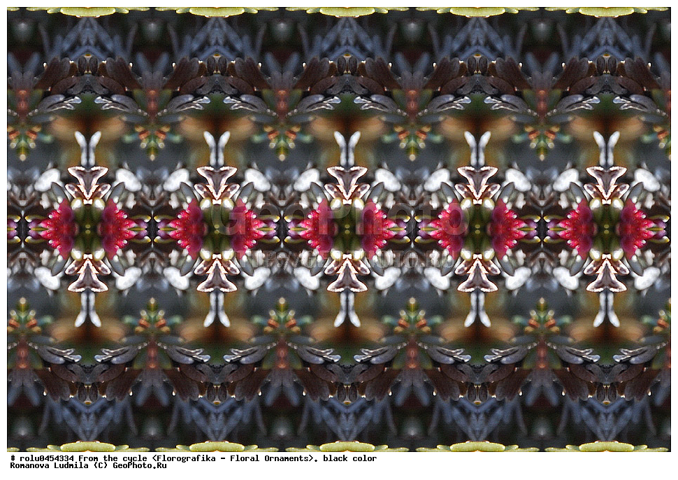 ���������, ������������������, ���������, ���������, ����, ������������, �����, ��������, ������