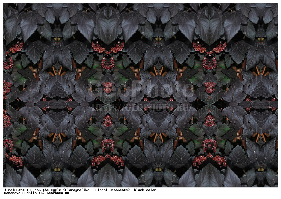 ���������, ������������������, ���������, ���������, ����, ������������, �����, ��������, ������