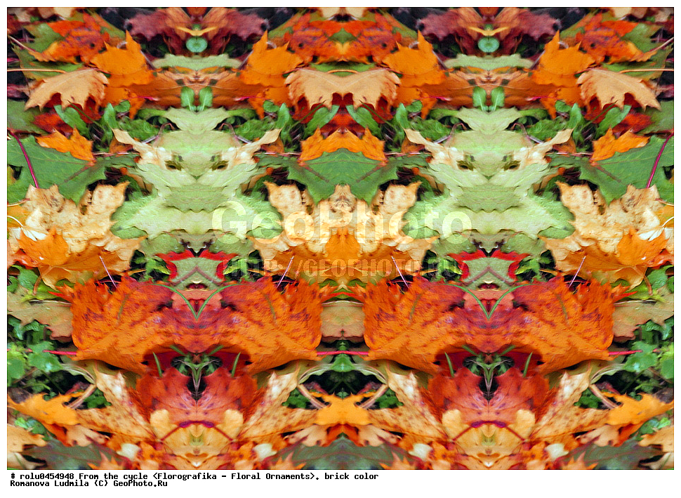 ���������, ������������������, ���������, ���������, ����, ������������, �����, ��������, ���������