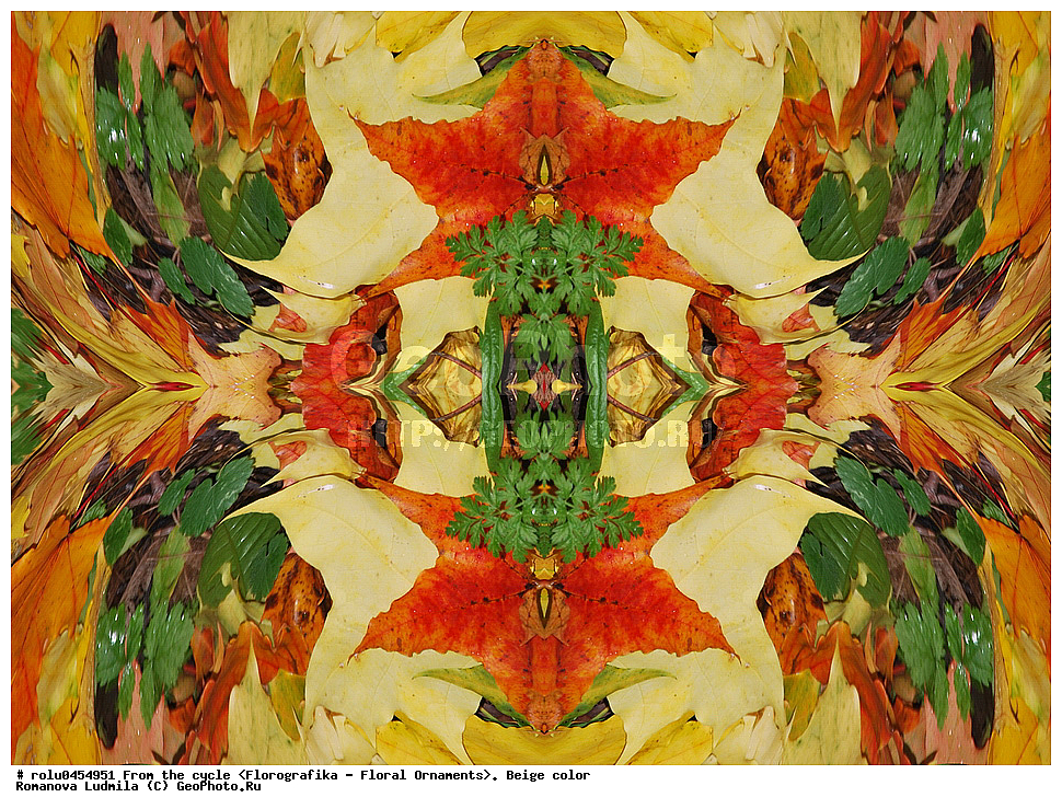 ���������, ������������������, ���������, ���������, ����, ������������, �����, ��������, �������