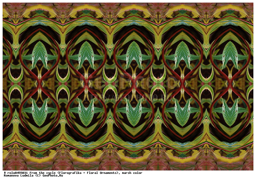 ���������, ������������������, ���������, ���������, ����, ������������, �����, ��������, ��������