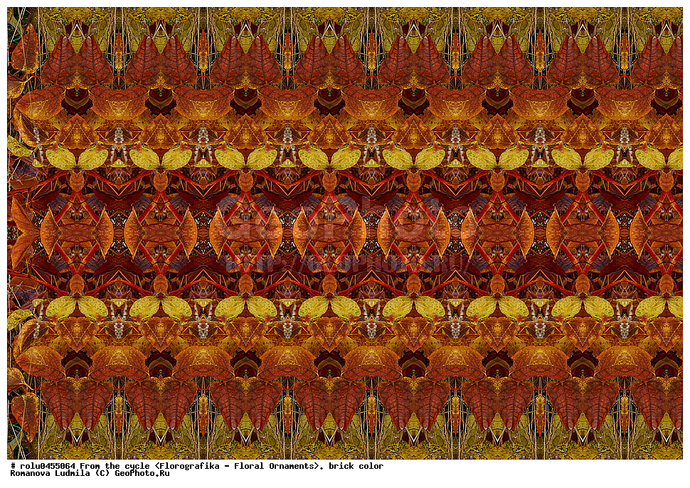 ���������, ������������������, ���������, ���������, ����, ������������, �����, ��������, ���������