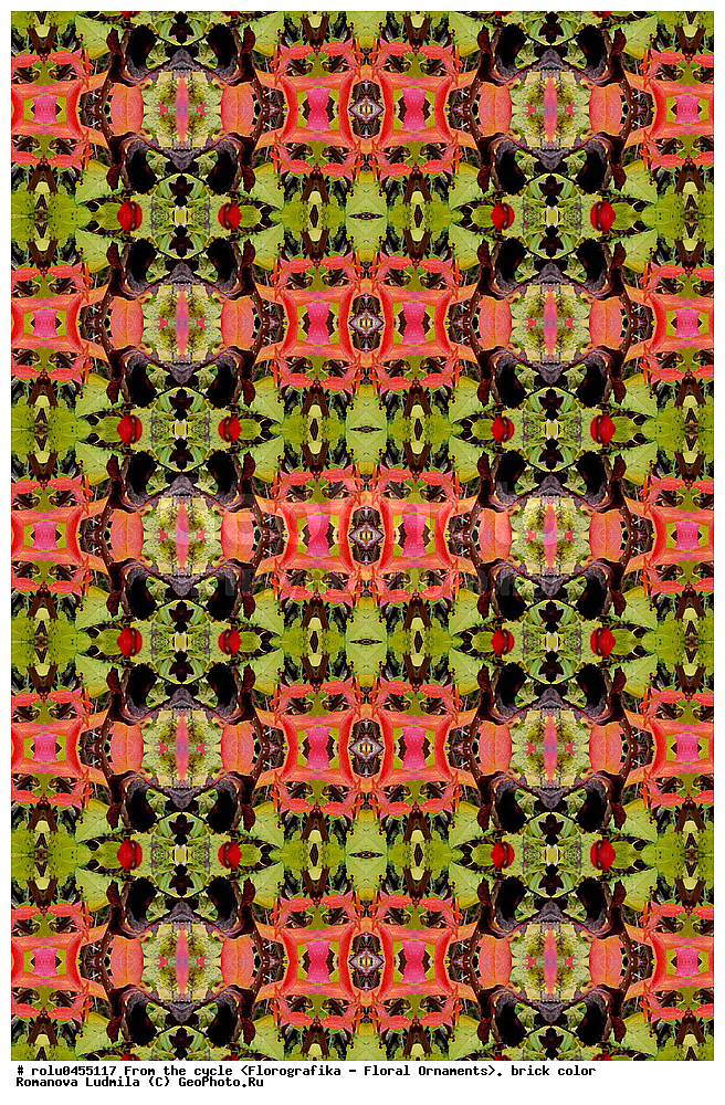 ���������, ������������������, ���������, ���������, ����, ������������, �����, ��������, ���������