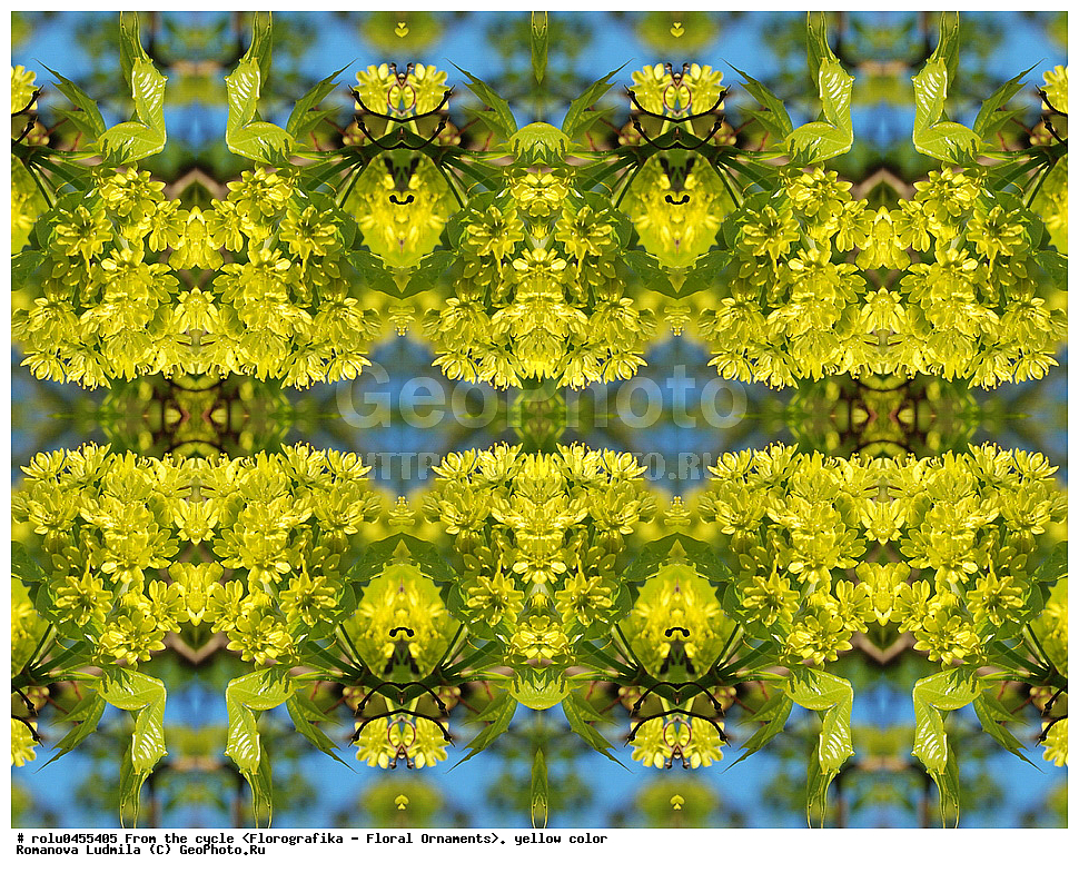 ���������, ������������������, ���������, ���������, ����, ������������, �����, ��������, ������