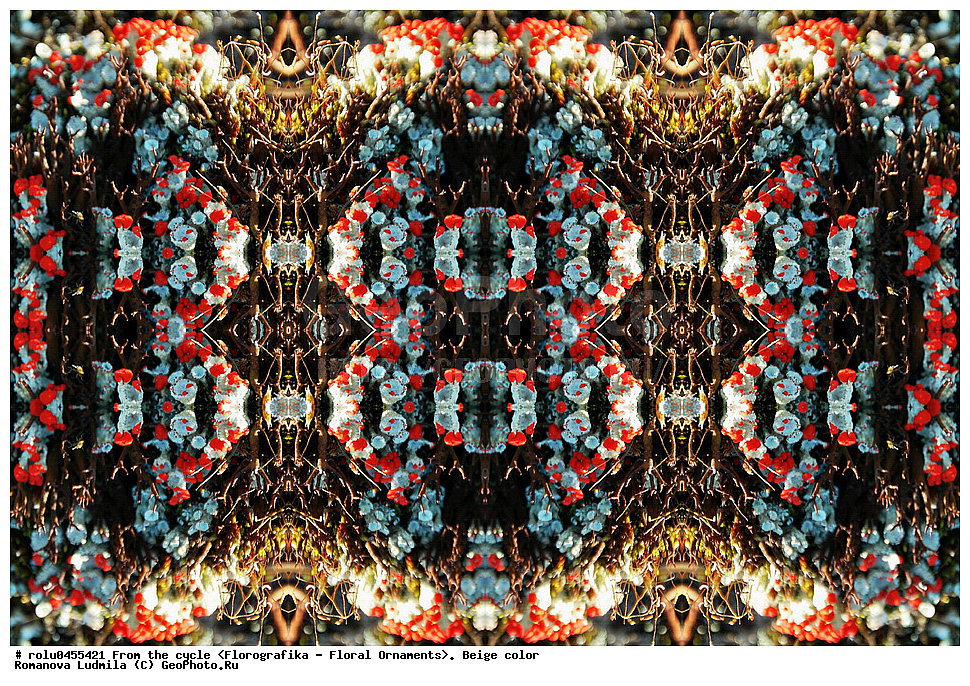 ���������, ������������������, ���������, ���������, ����, ������������, �����, ��������, �������