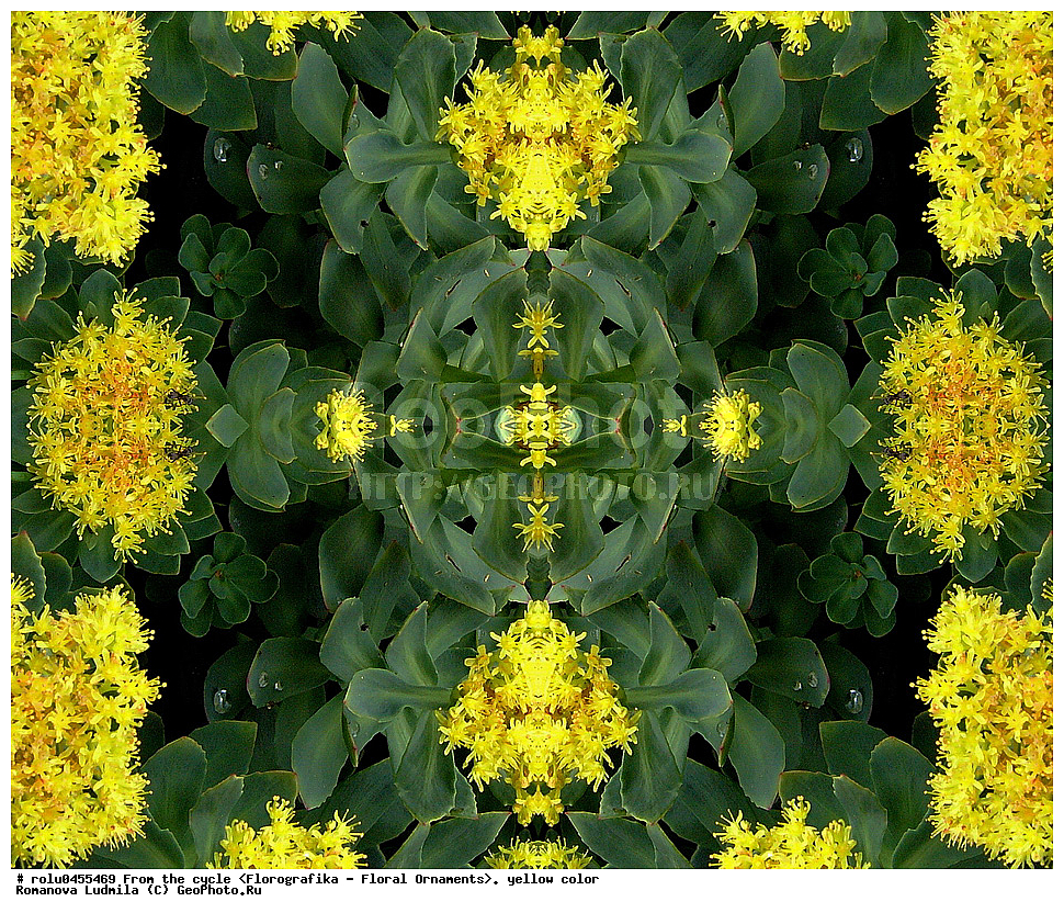 ���������, ������������������, ���������, ���������, ����, ������������, �����, ��������, ������