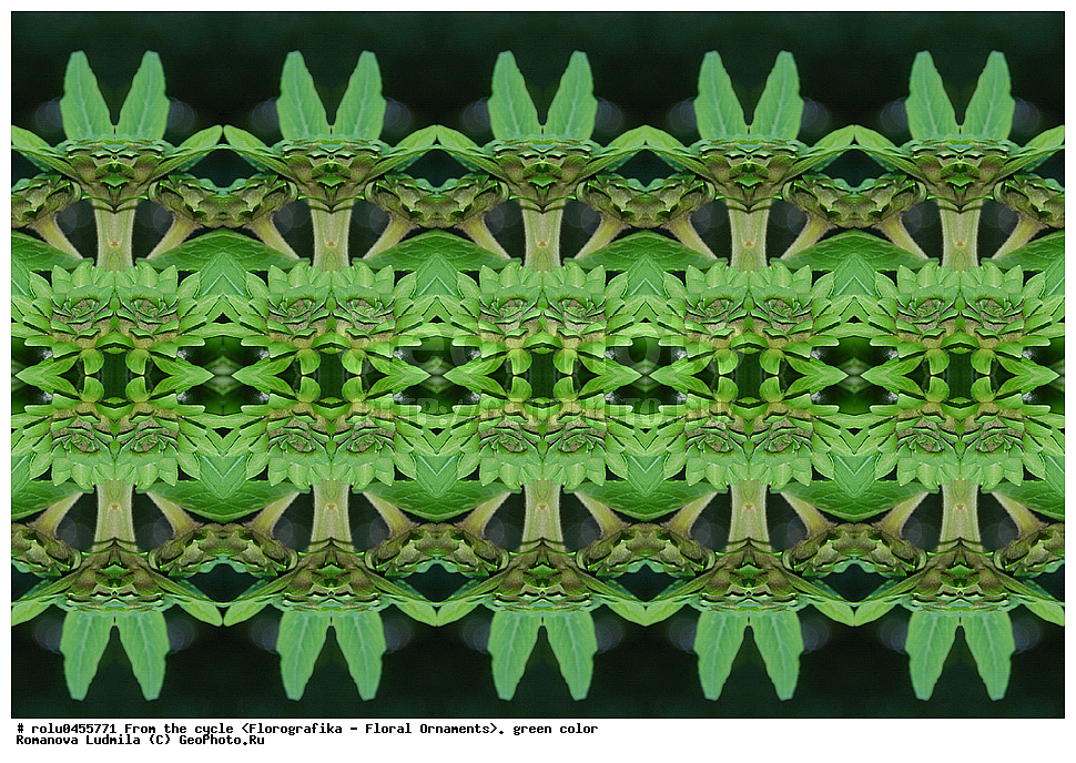 ���������, ������������������, ���������, ���������, ����, ������������, �����, ��������, �������
