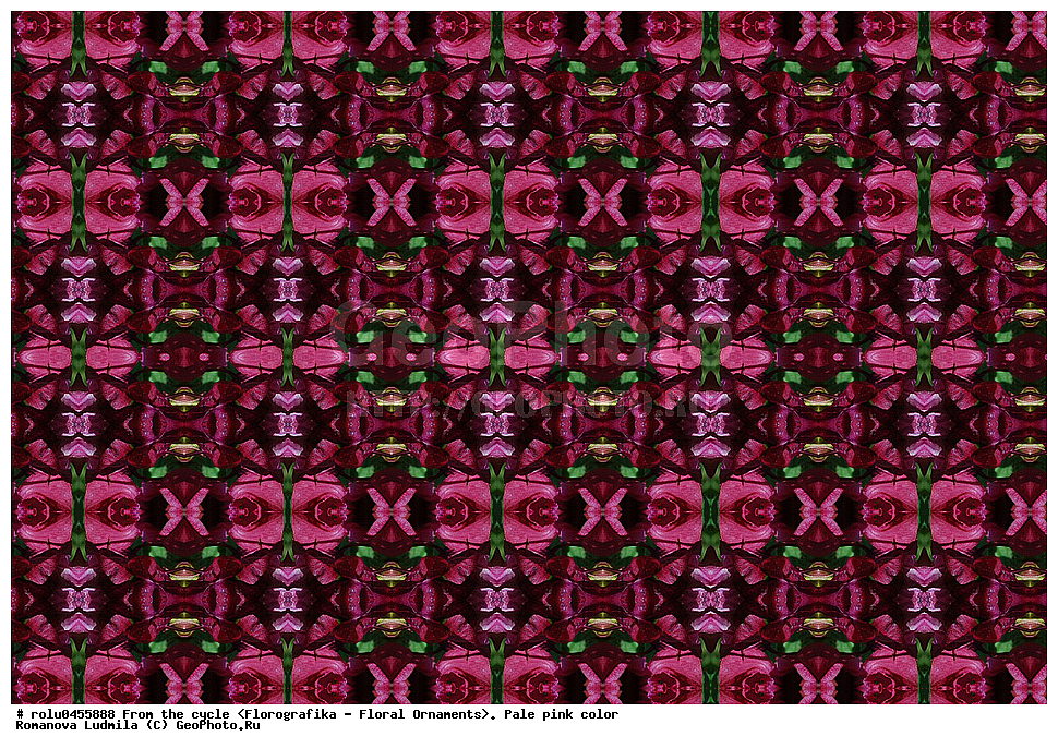 ���������, ������������������, ���������, ���������, ����, ������������, �����, ��������, ������-�������