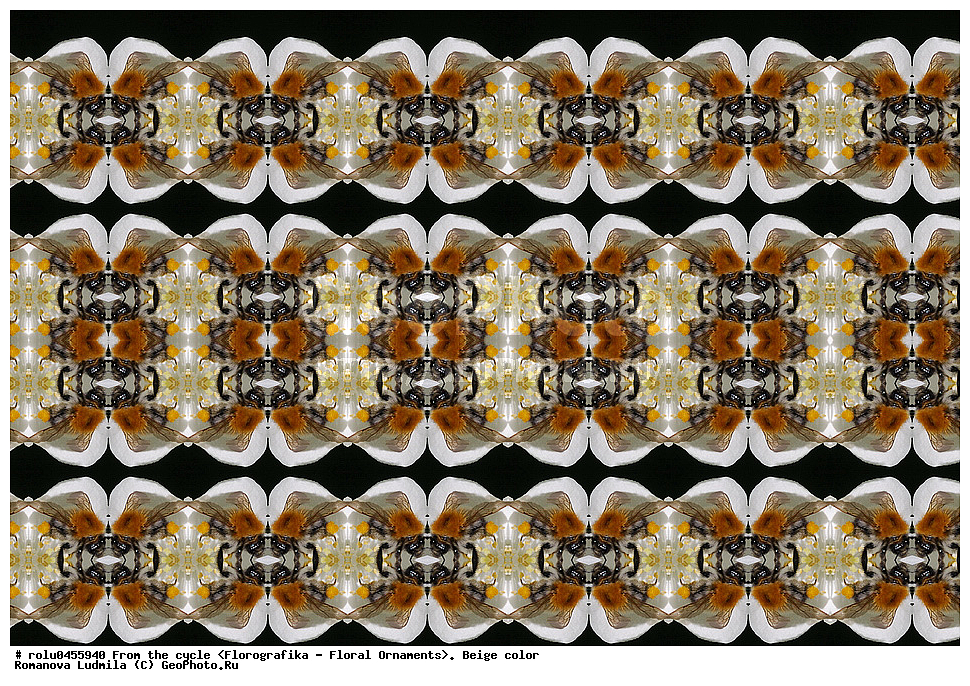 ���������, ������������������, ���������, ���������, ����, ������������, �����, ��������, �������