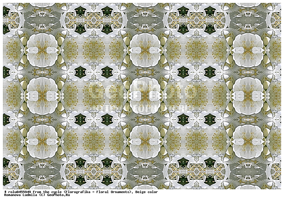 ���������, ������������������, ���������, ���������, ����, ������������, �����, ��������, �������