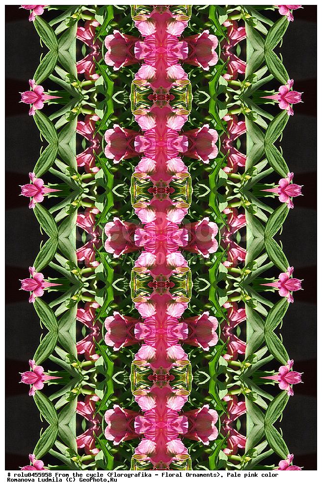 ���������, ������������������, ���������, ���������, ����, ������������, �����, ��������, ������-�������