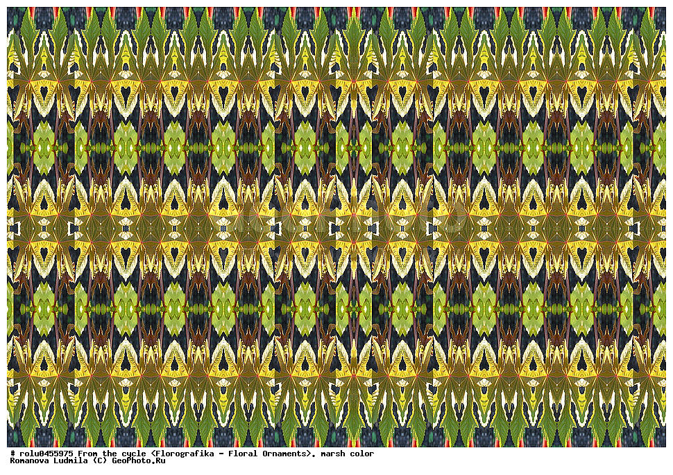 ���������, ������������������, ���������, ���������, ����, ������������, �����, ��������, ��������