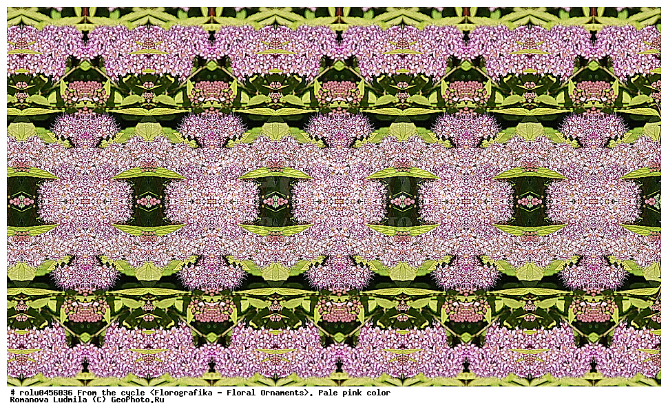 ���������, ������������������, ���������, ���������, ����, ������������, �����, ��������, ������-�������