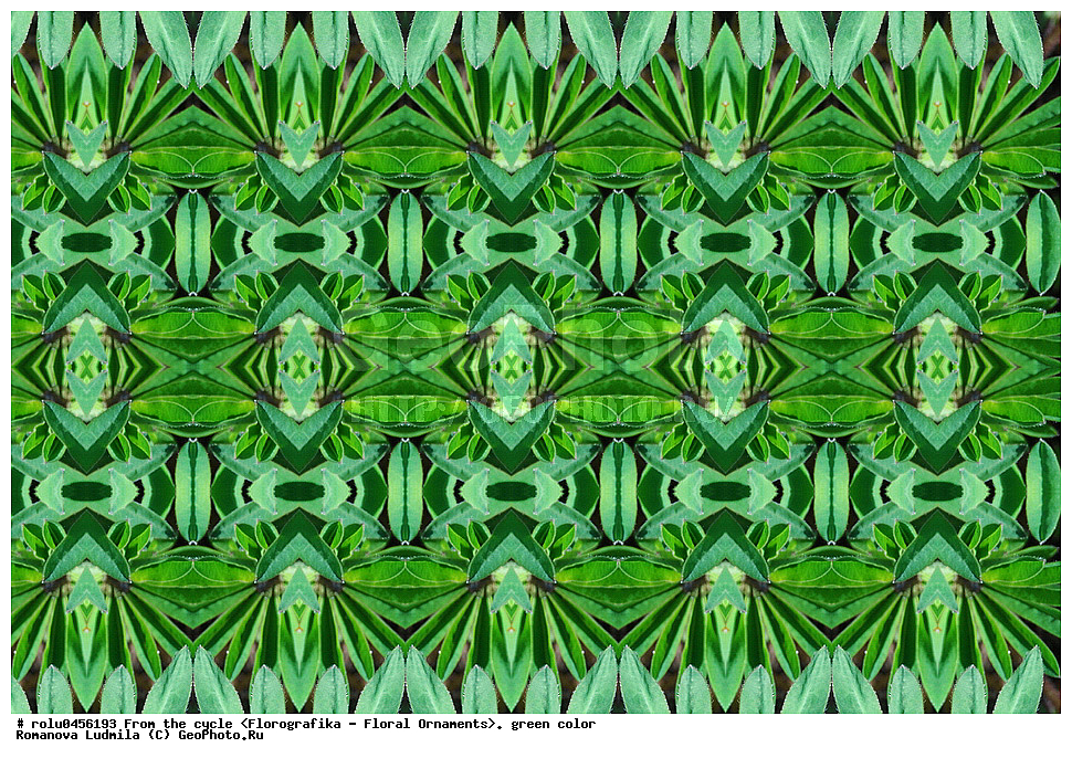 ���������, ������������������, ���������, ���������, ����, ������������, �����, ��������, �������
