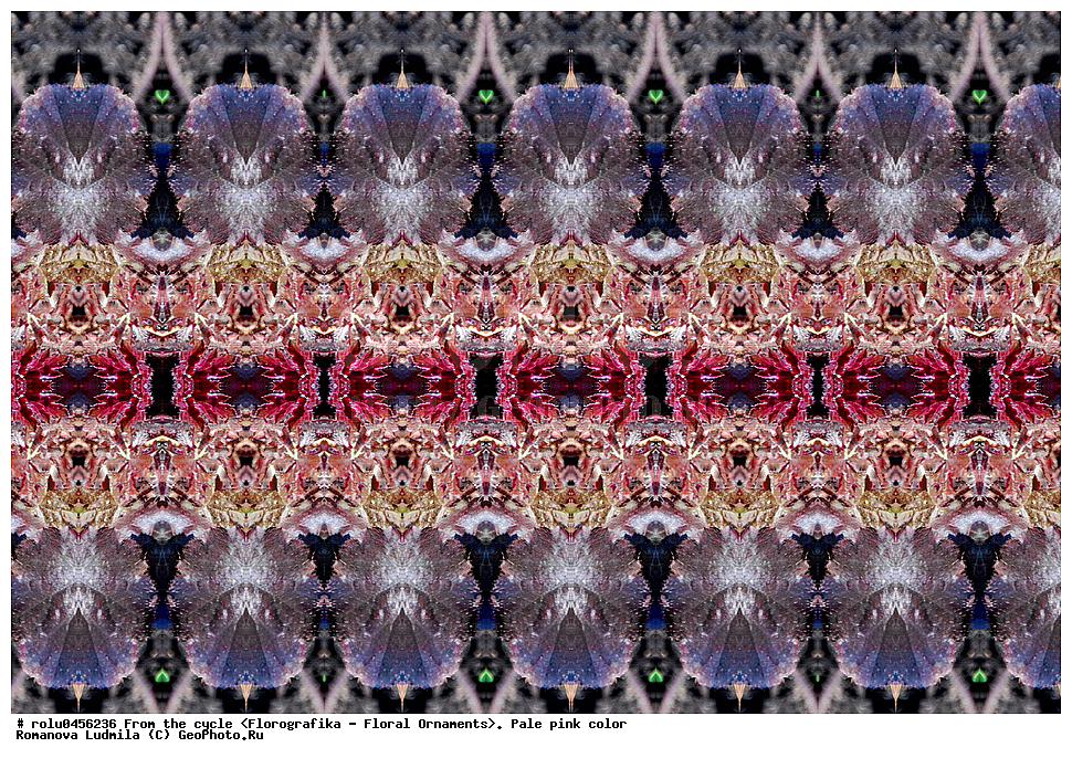 ���������, ������������������, ���������, ���������, ����, ������������, �����, ��������, ������-�������