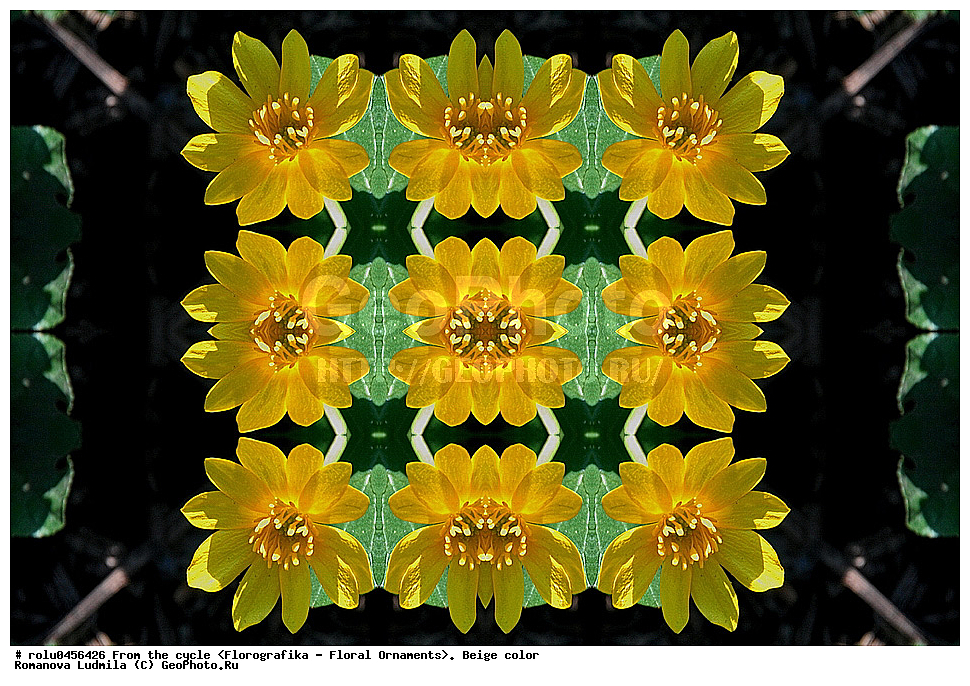 ���������, ������������������, ���������, ���������, ����, ������������, �����, ��������, �������