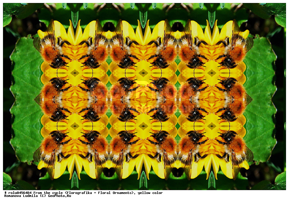 ���������, ������������������, ���������, ���������, ����, ������������, �����, ��������, ������