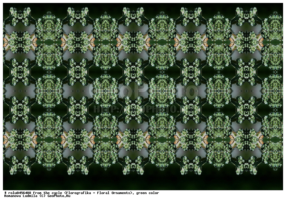 ���������, ������������������, ���������, ���������, ����, ������������, �����, ��������, �������