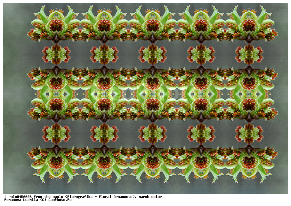 ���������, ������������������, ���������, ���������, ����, ������������, �����, ��������, ��������