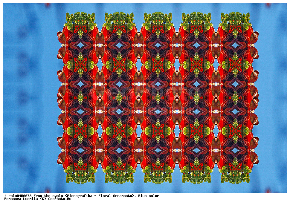 ���������, ������������������, ���������, ���������, ����, ������������, �����, ��������, �����