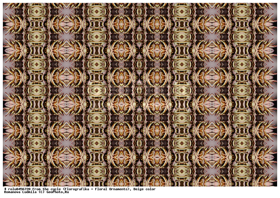 ���������, ������������������, ���������, ���������, ����, ������������, �����, ��������, �������