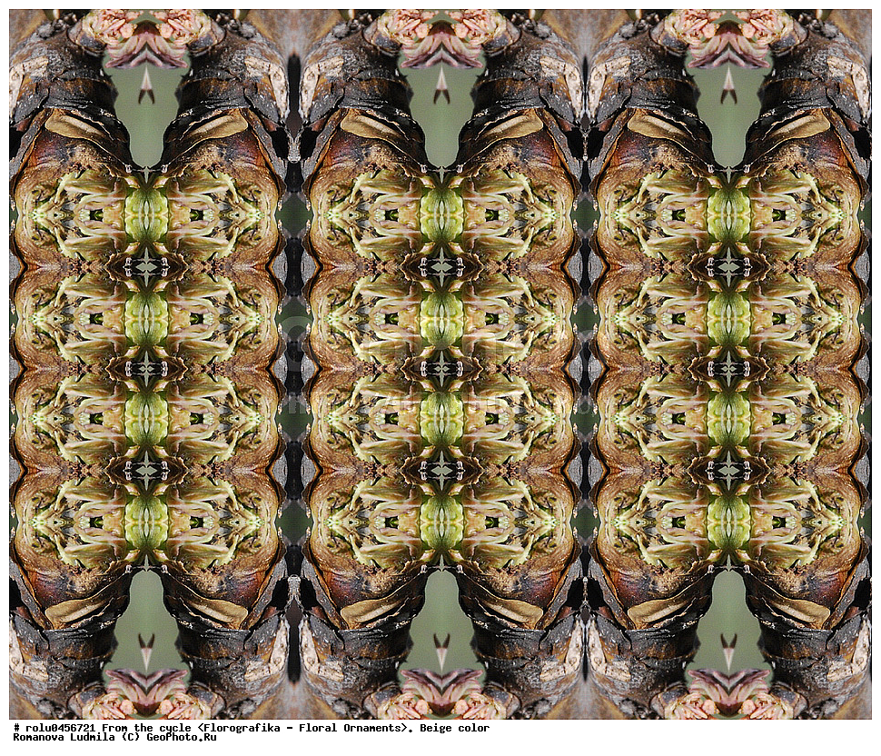 ���������, ������������������, ���������, ���������, ����, ������������, �����, ��������, �������