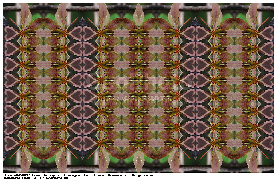 ���������, ������������������, ���������, ���������, ����, ������������, �����, ��������, �������