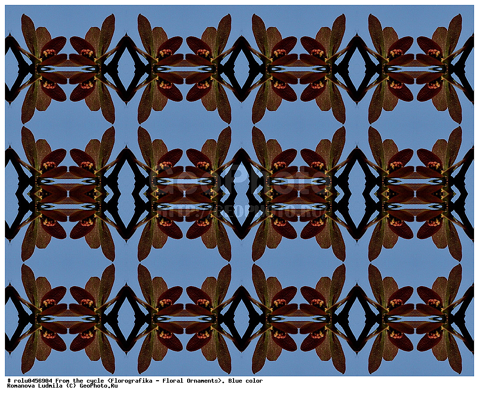 ���������, ������������������, ���������, ���������, ����, ������������, �����, ��������, �����