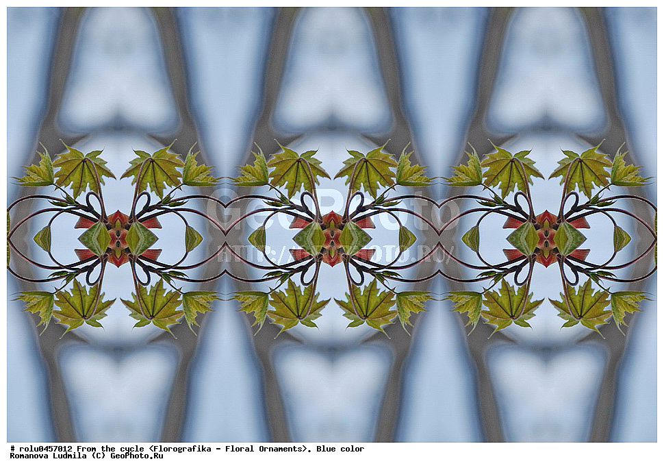 ���������, ������������������, ���������, ���������, ����, ������������, �����, ��������, �����