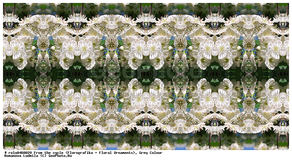 ������������������, ��������, ���������, ���������, ����, ������������, �����, ���������, �����