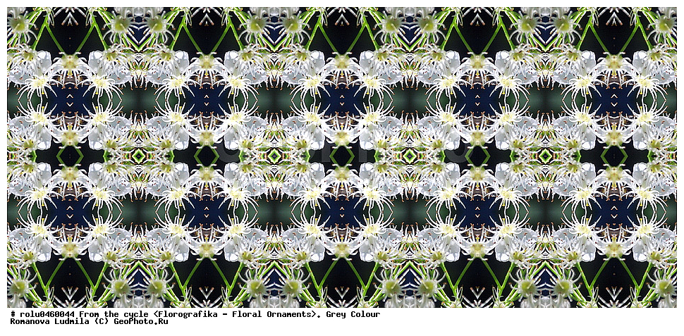 ������������������, ��������, ���������, ���������, ����, ������������, �����, ���������, �����