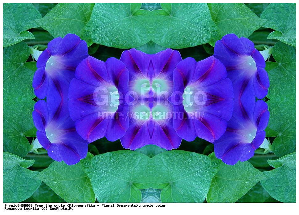 ������������������, ��������, ���������, ���������, ����, ������������, �����, ���������, ����������