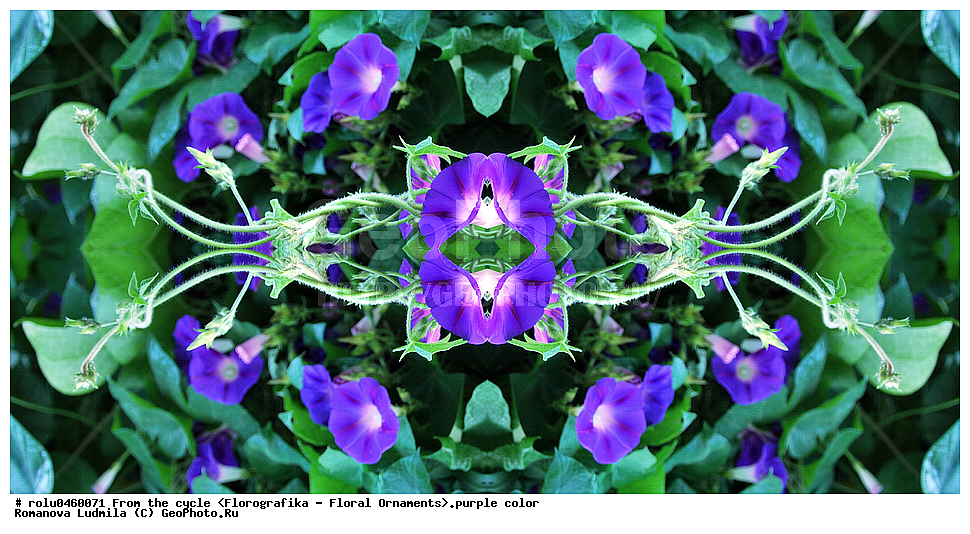 ������������������, ��������, ���������, ���������, ����, ������������, �����, ���������, ����������