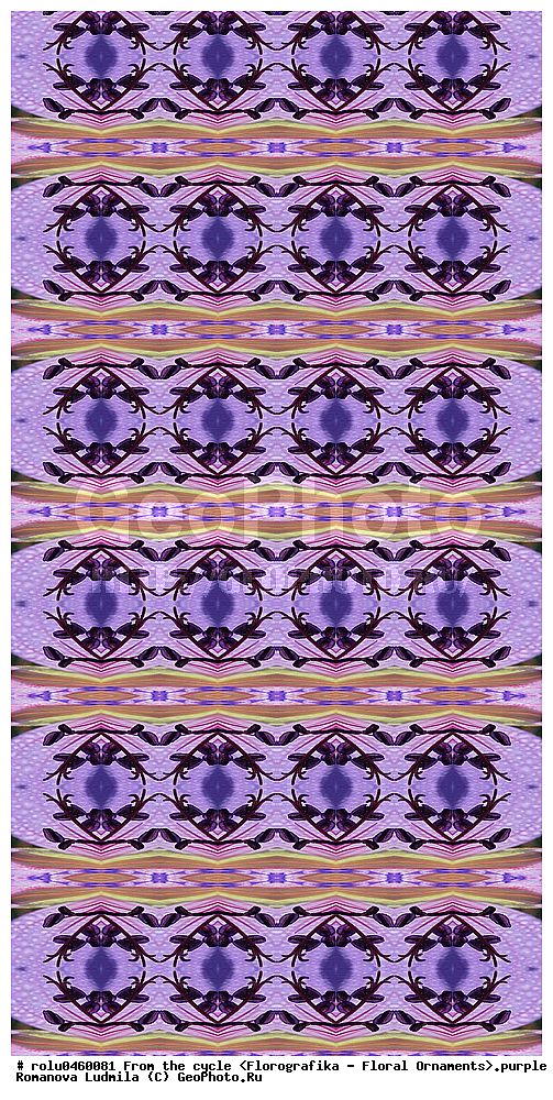 ������������������, ��������, ���������, ���������, ����, ������������, �����, ���������, ����������