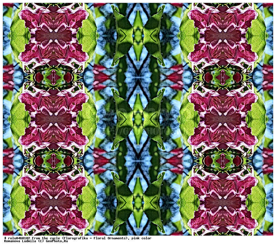 ������������������, ��������, ���������, ���������, ����, ������������, �����, ���������, �������