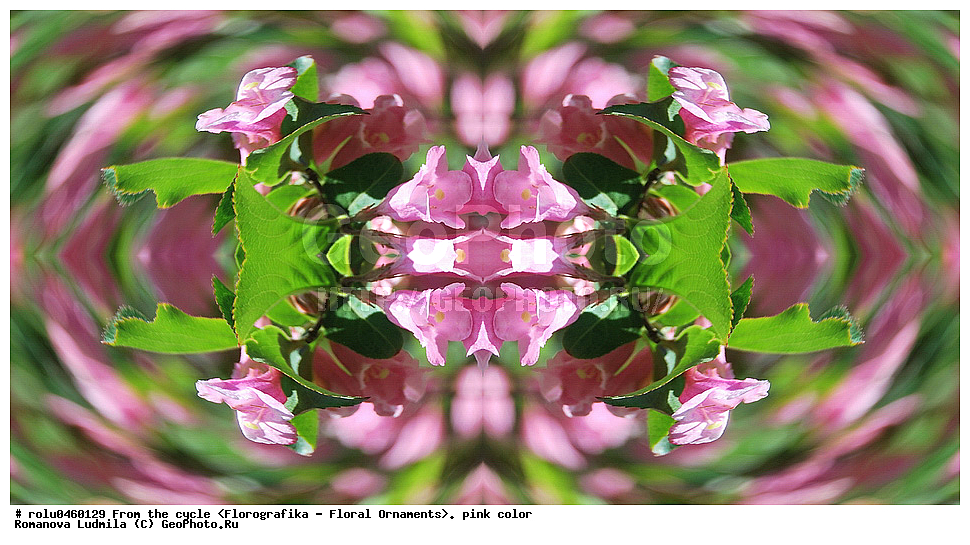 ������������������, ��������, ���������, ���������, ����, ������������, �����, ���������, �������